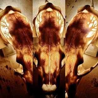 Orso