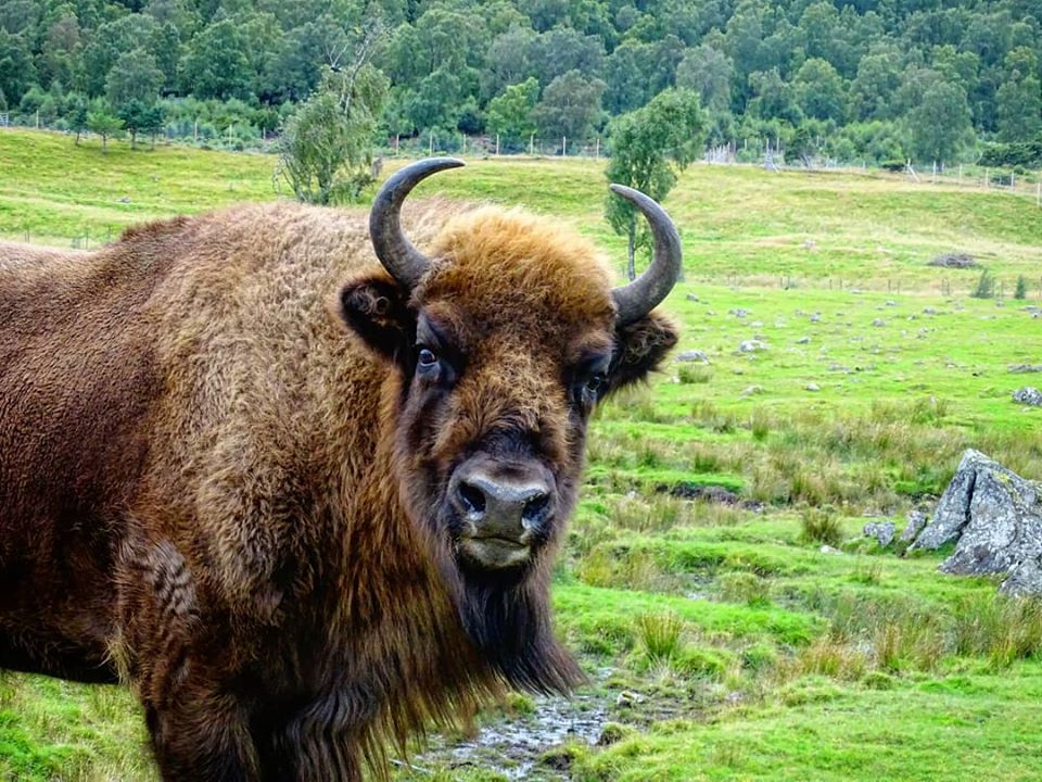 69957106_2140279296281896_4461490586884505600_o