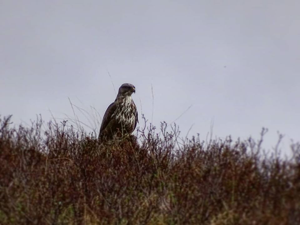 71207955_2159160684393757_242279607678533632_o