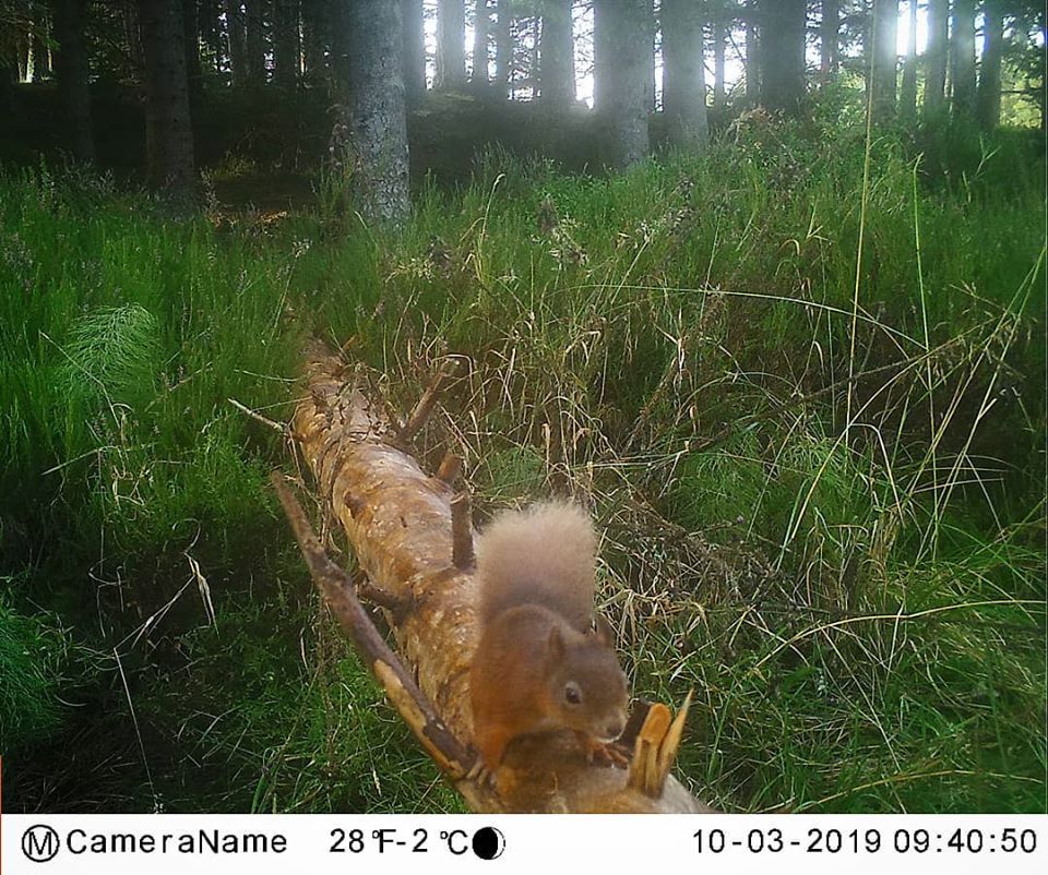 72455587_2166141727028986_8084168881129652224_o