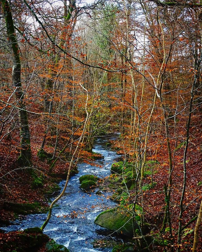 78395891_2213268622316296_7485805573733089280_o