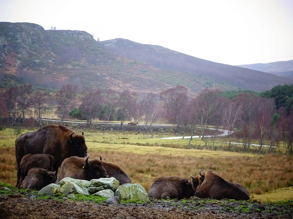 82916889_2249895771986914_3286581362278006784_o