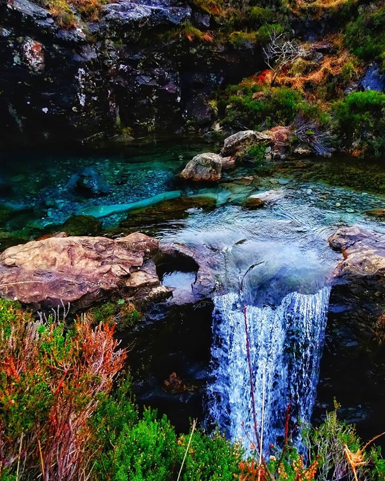 83595158_2265489267094231_1091715076722786304_o