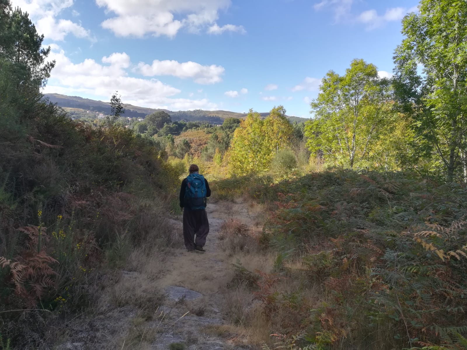 IMG-20191224-WA0024