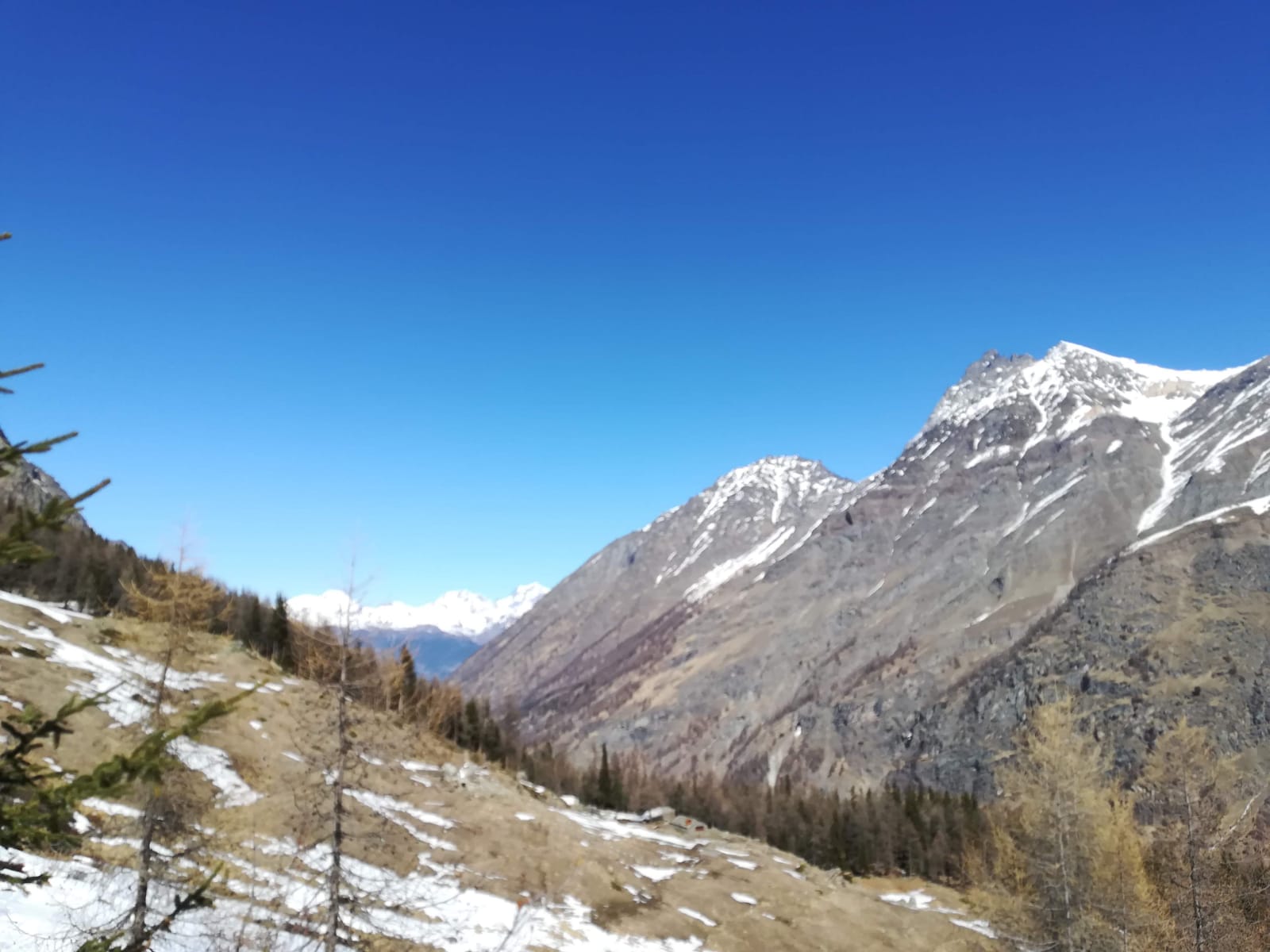 IMG-20191224-WA0027