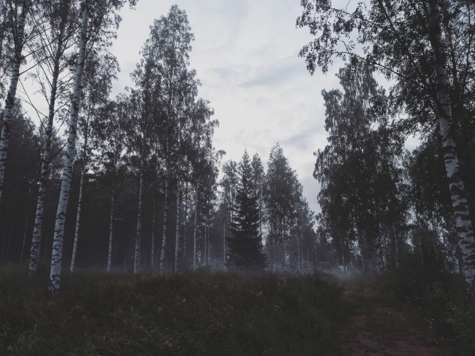 WhatsApp-Image-2020-05-28-at-15.59.16-1536×1152