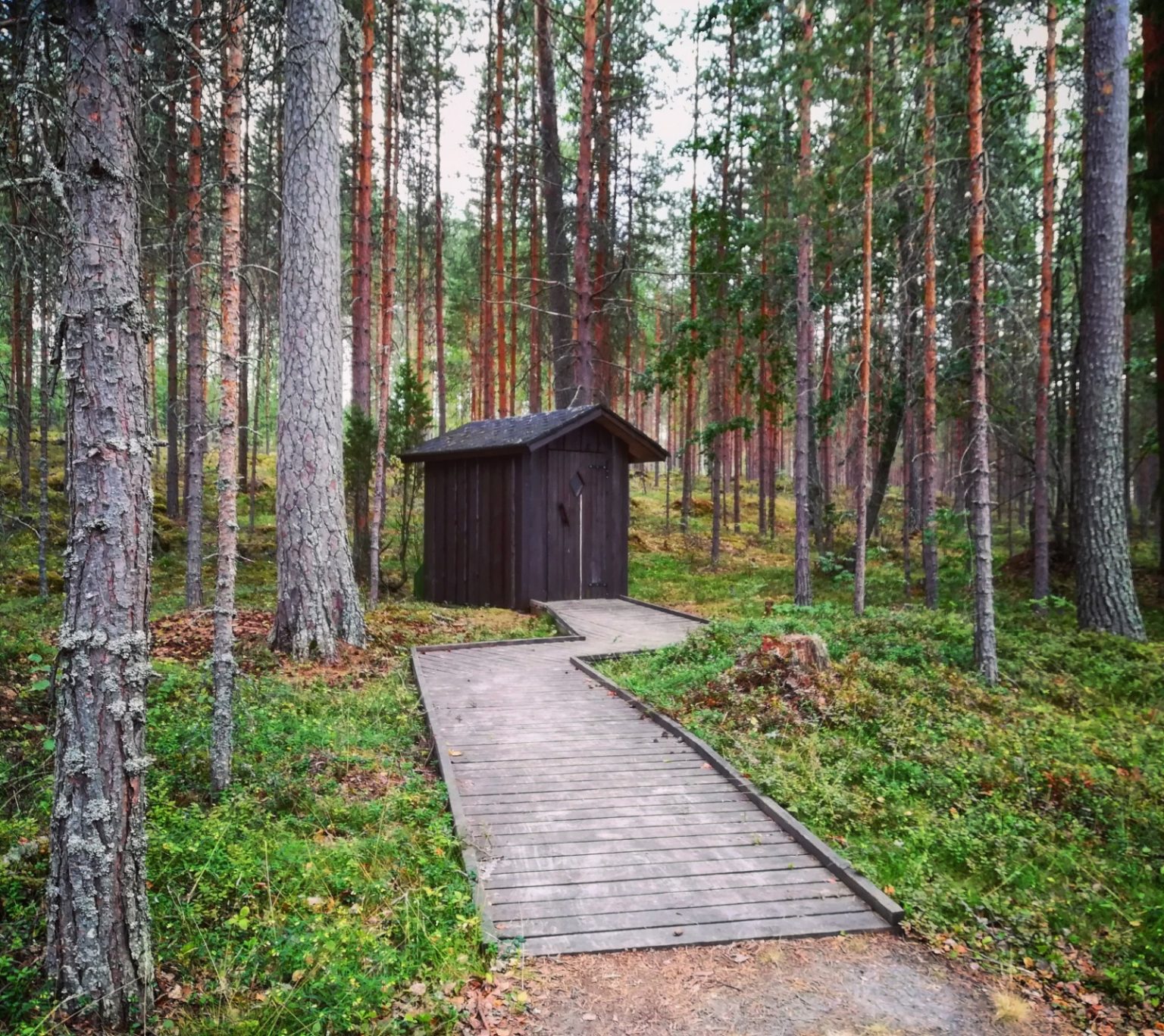 WhatsApp-Image-2020-05-28-at-15.59.17-1536×1368