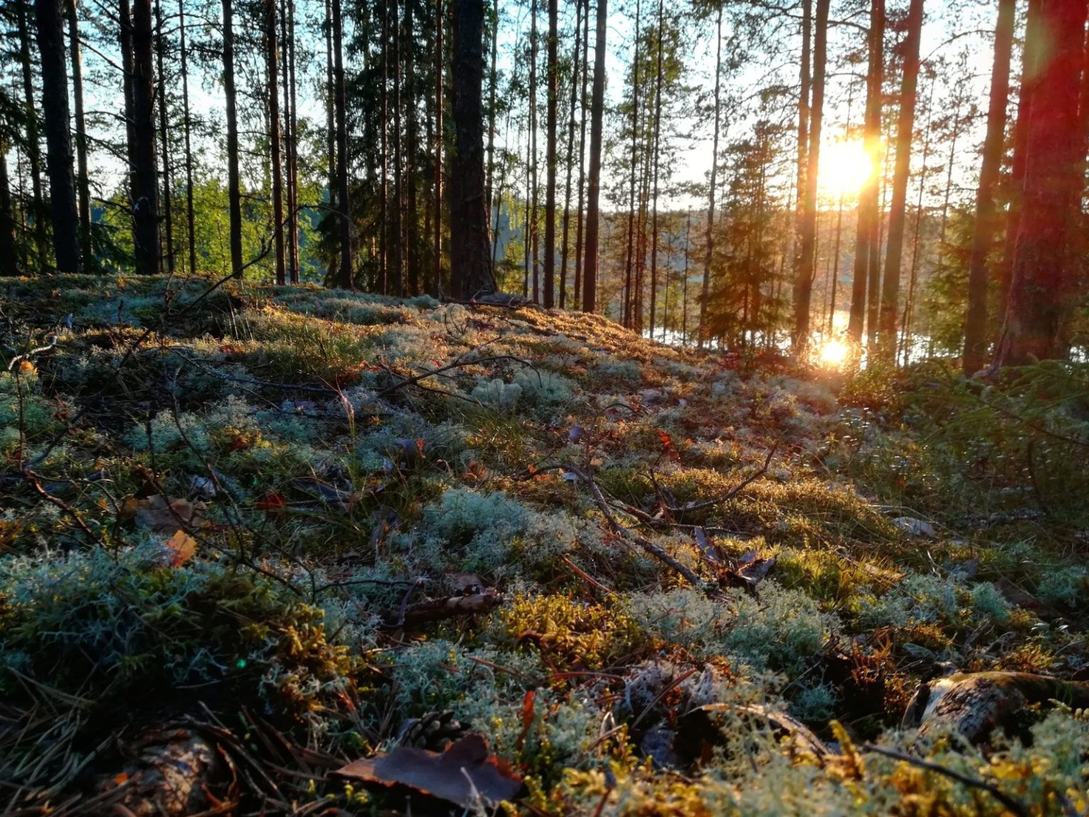 WhatsApp-Image-2020-05-28-at-15.59.18-1536×1152