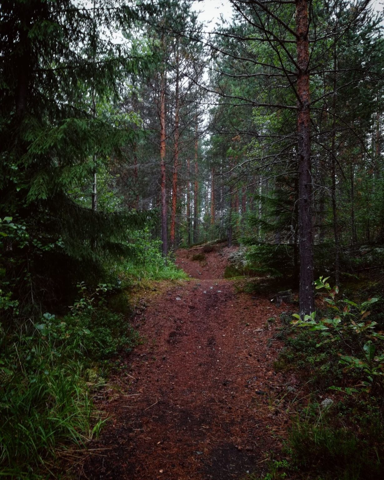 WhatsApp-Image-2020-05-28-at-15.59.18-3-1229×1536