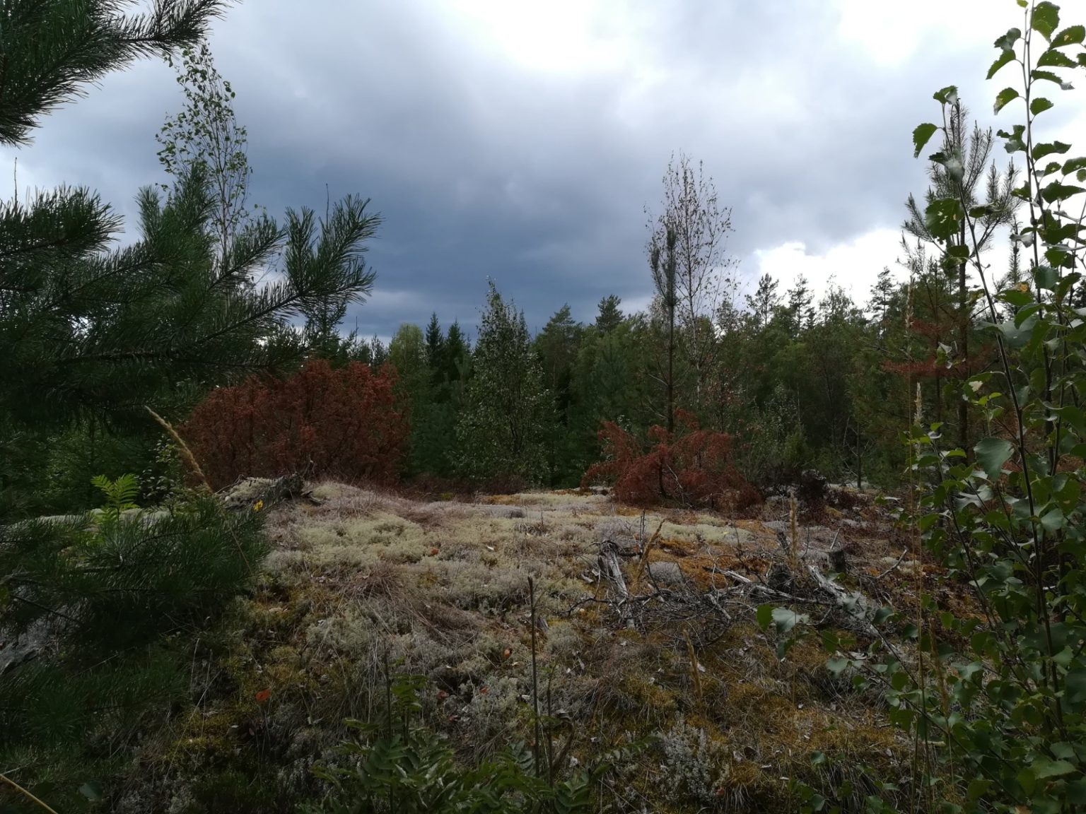 WhatsApp-Image-2020-05-28-at-15.59.18-6-1536×1152