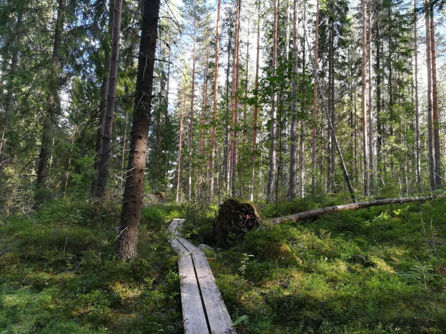 WhatsApp-Image-2020-05-28-at-15.59.19-1-1536×1152