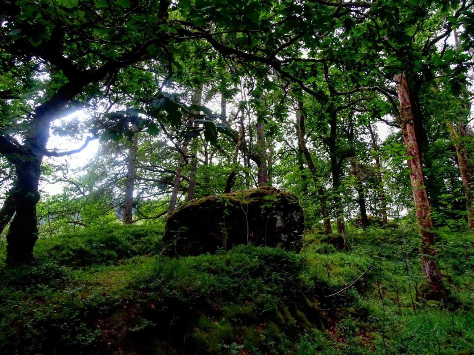 WhatsApp-Image-2020-05-31-at-15.10.03-3-1536×1152