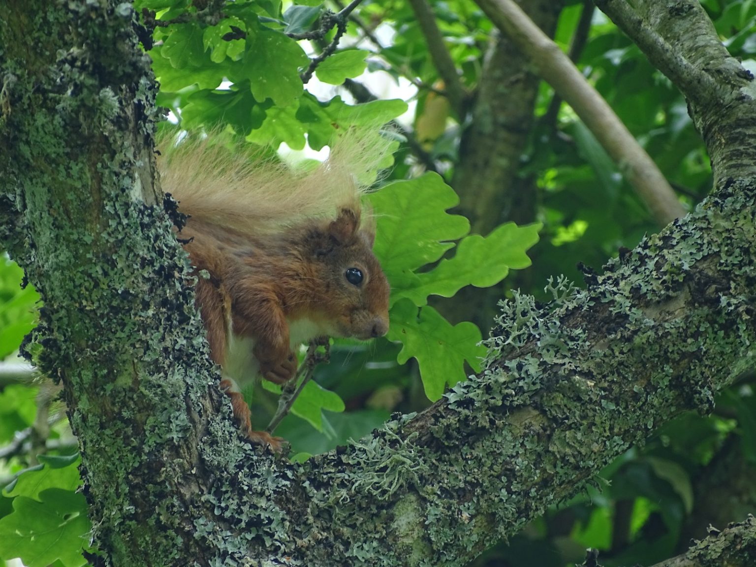 WhatsApp-Image-2020-05-31-at-15.10.05-1-1536×1152