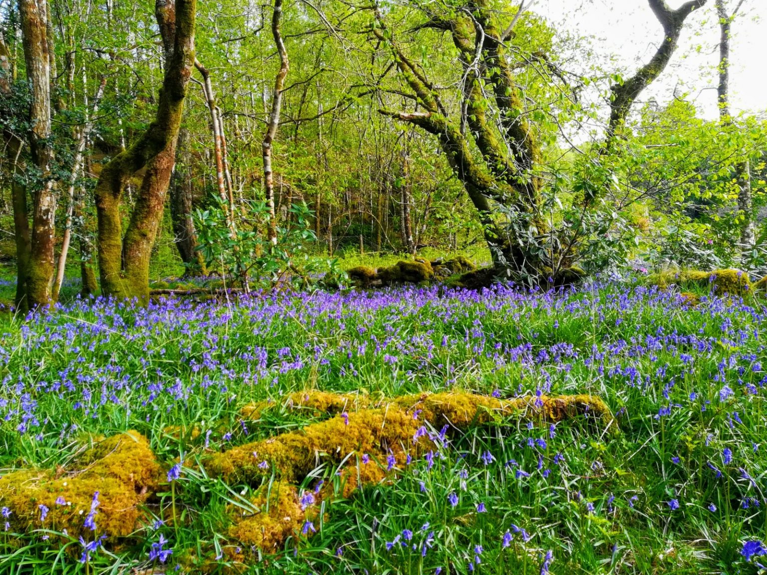 WhatsApp-Image-2020-05-31-at-15.10.06-1536×1152