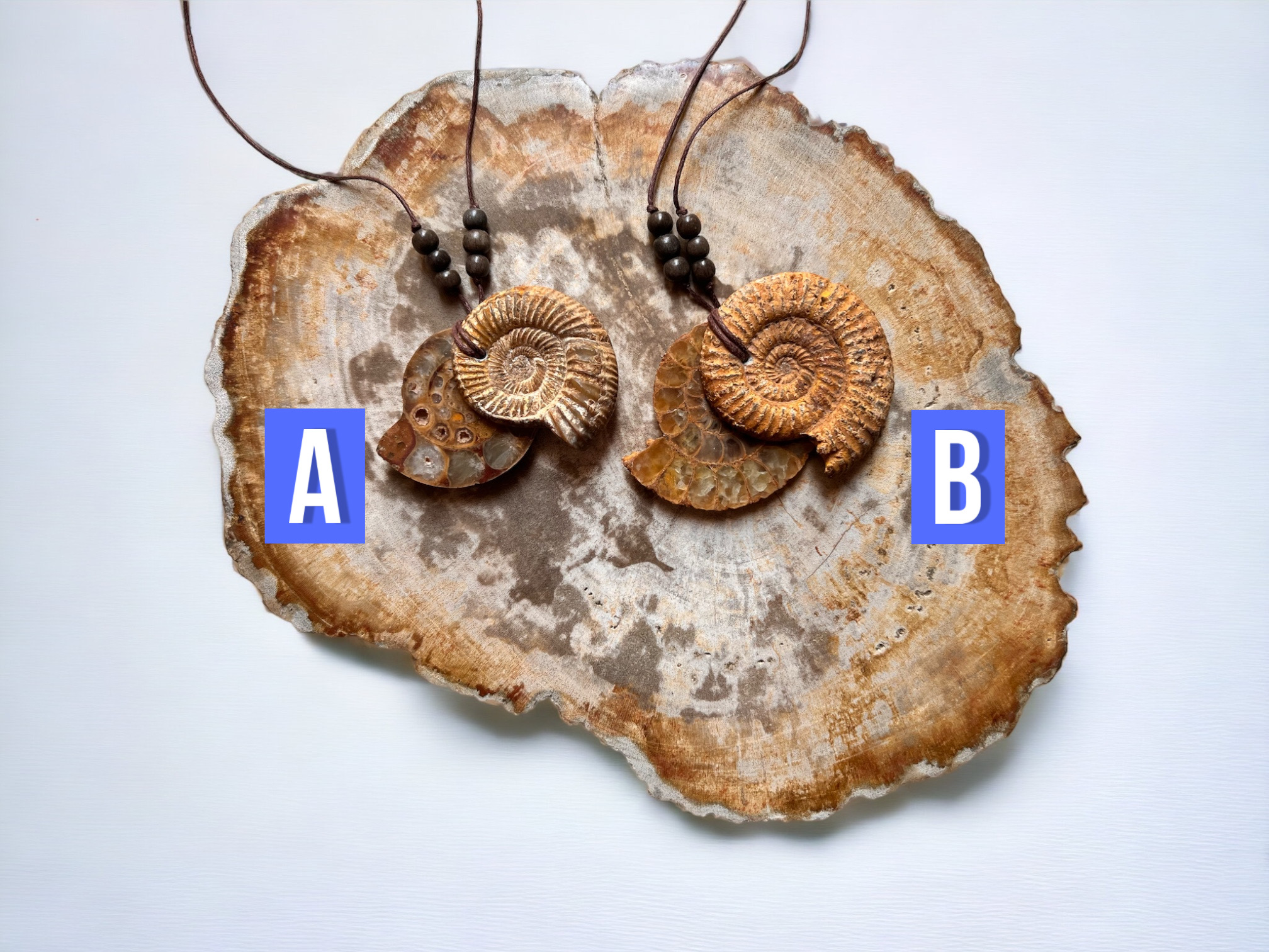 Collana con ammonite (B)