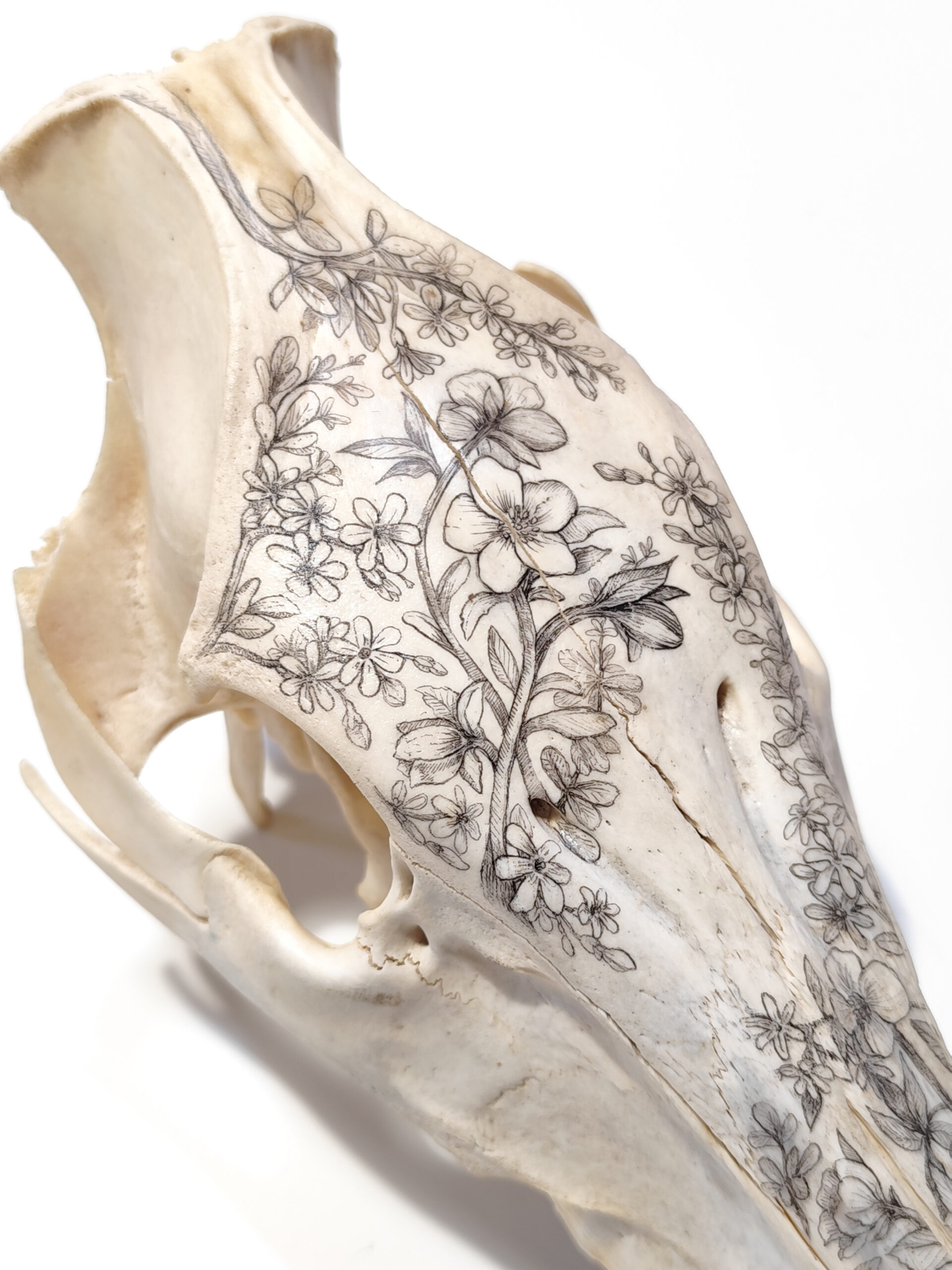 1762160517899 scaled