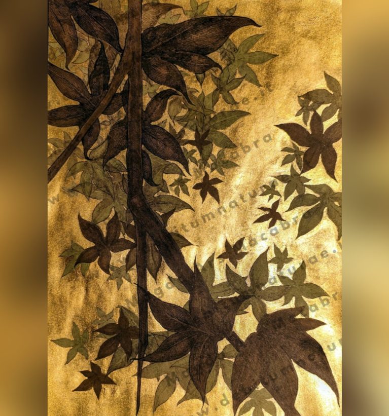 ILLUSTRAZIONE ACERO GIAPPONESE