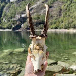 teschio di capriolo con sfondo lago