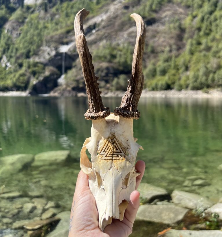 teschio di capriolo con sfondo lago