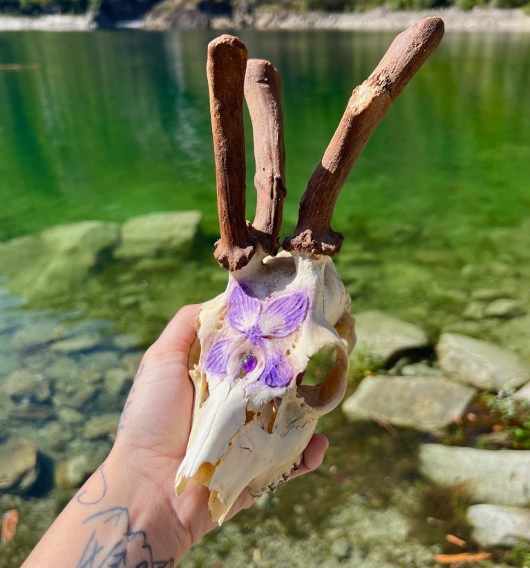Teschio di capriolo con palchi deformi, decorato con Violetta e cabochon di Ametista