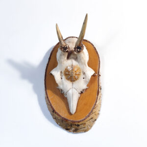 Serie Norse III – Calotta di capriolo con Aegishjalmur