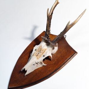 Serie Norse IV – Calotta di capriolo con Web of Wyrd