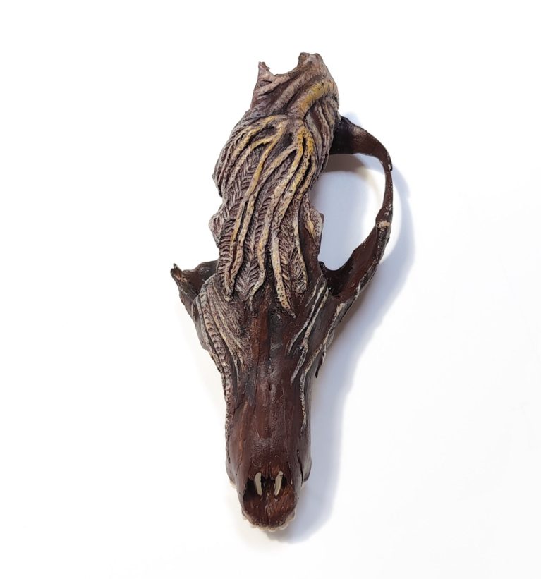FOSSILIA SERIE I - Cranio di volpe con crinoide modellato e dipinto a mano