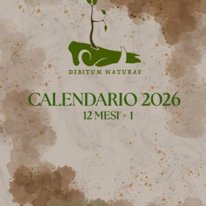 Calendario 2026 - 12 mesi + 1