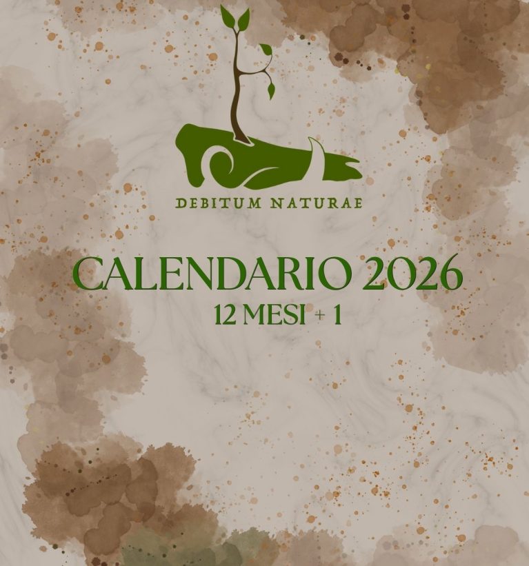 Calendario 2026 - 12 mesi + 1