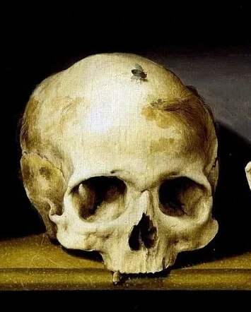 1000px Barthel Bartholomaus Bruyn Vanitas 855x1024 1 e1769679792194