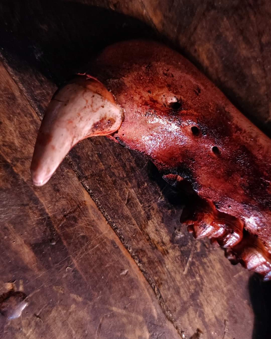 FB_IMG_1626288234666