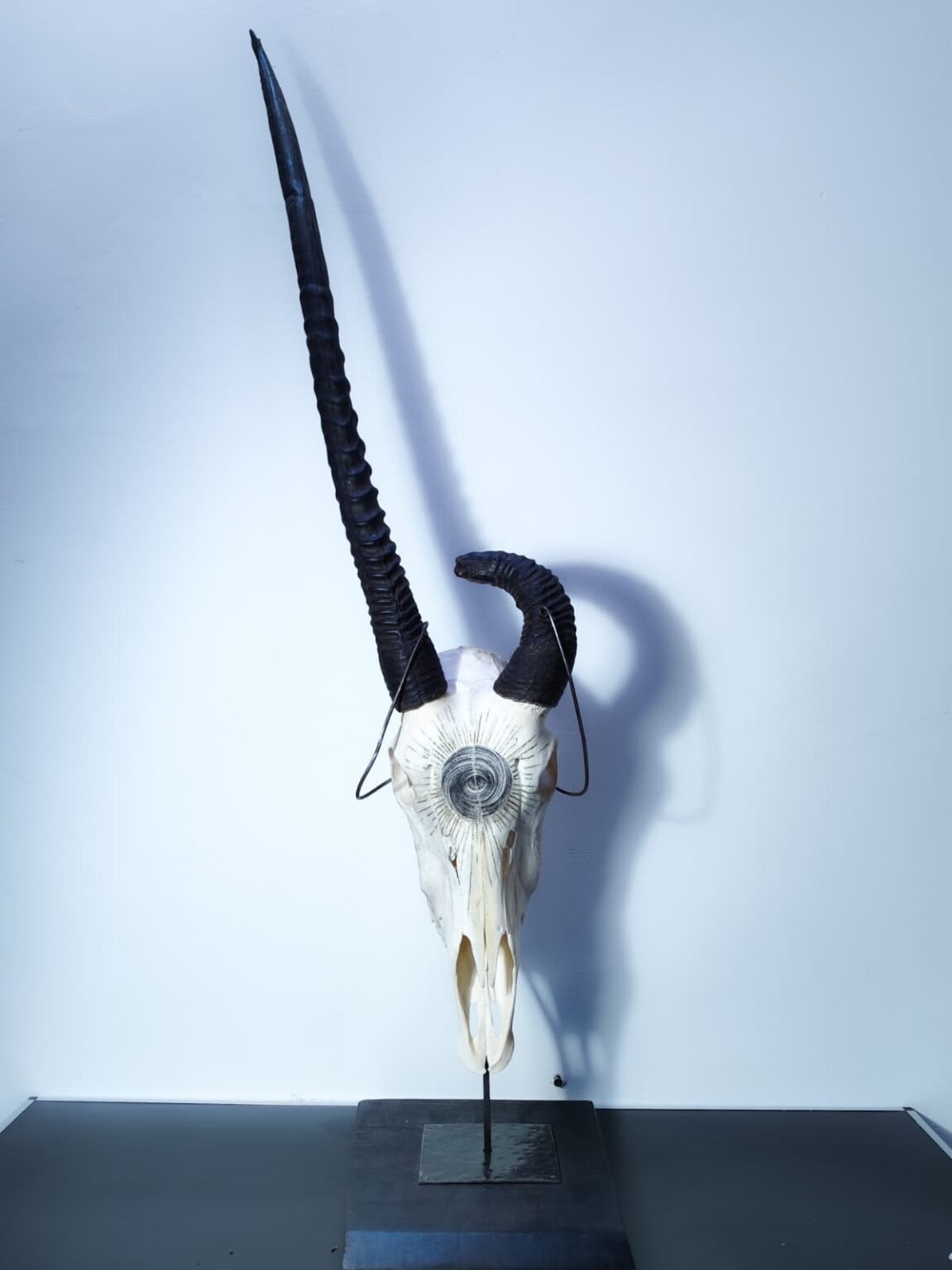 Consciousness oryx gazzella