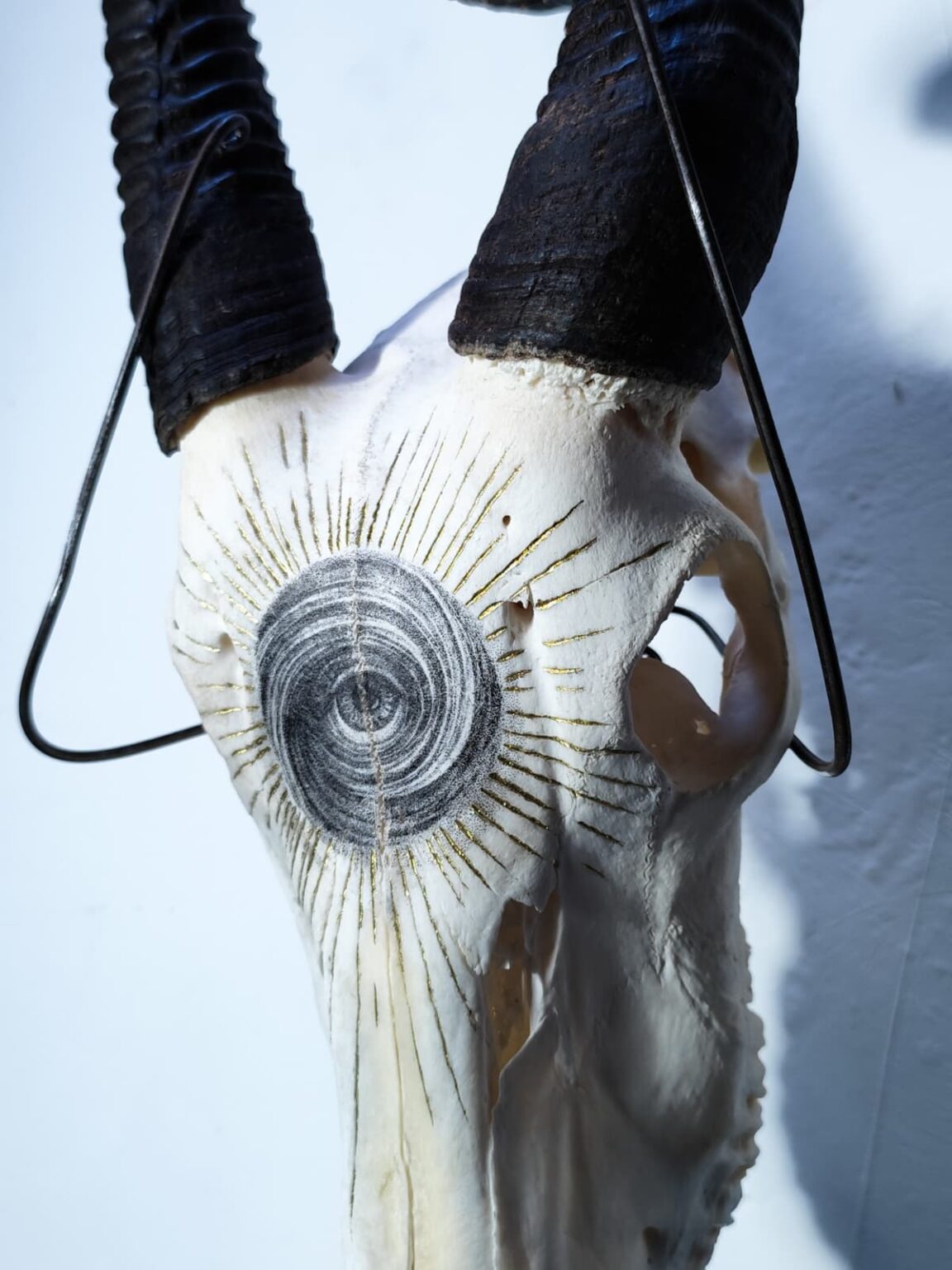 Consciousness (2026) - in catalogo Exhumed Garden