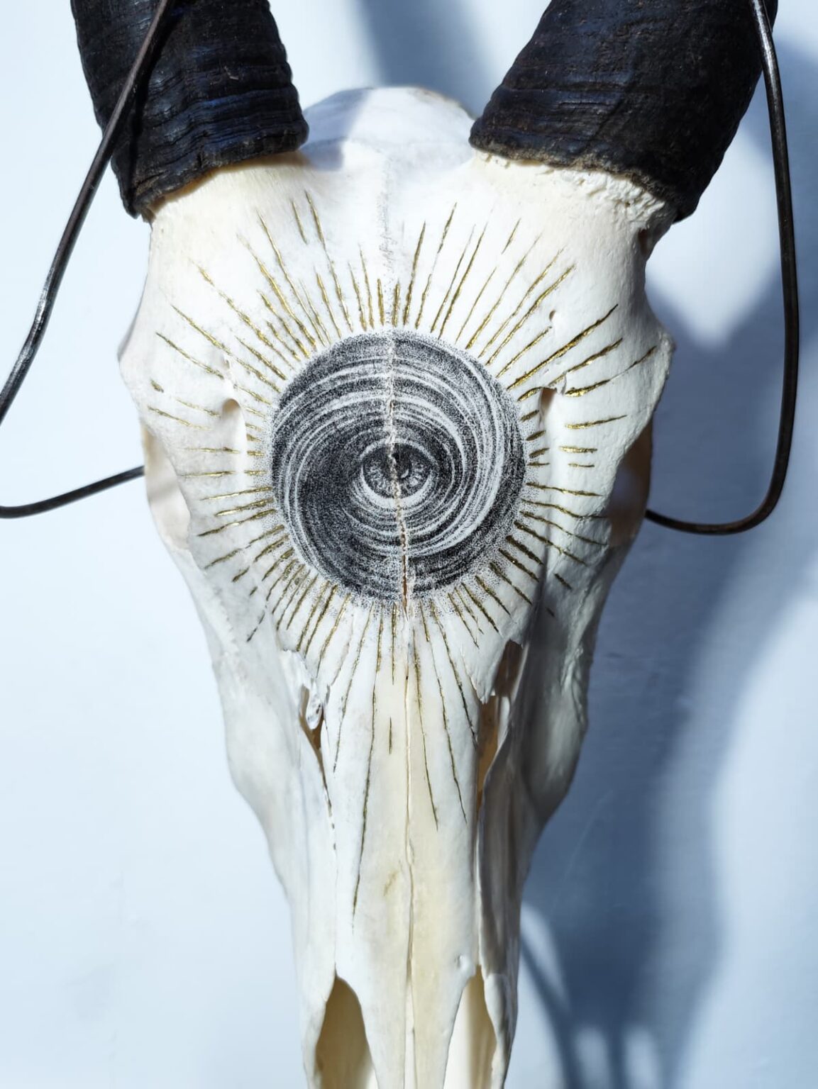 Consciousness (2026) - in catalogo Exhumed Garden