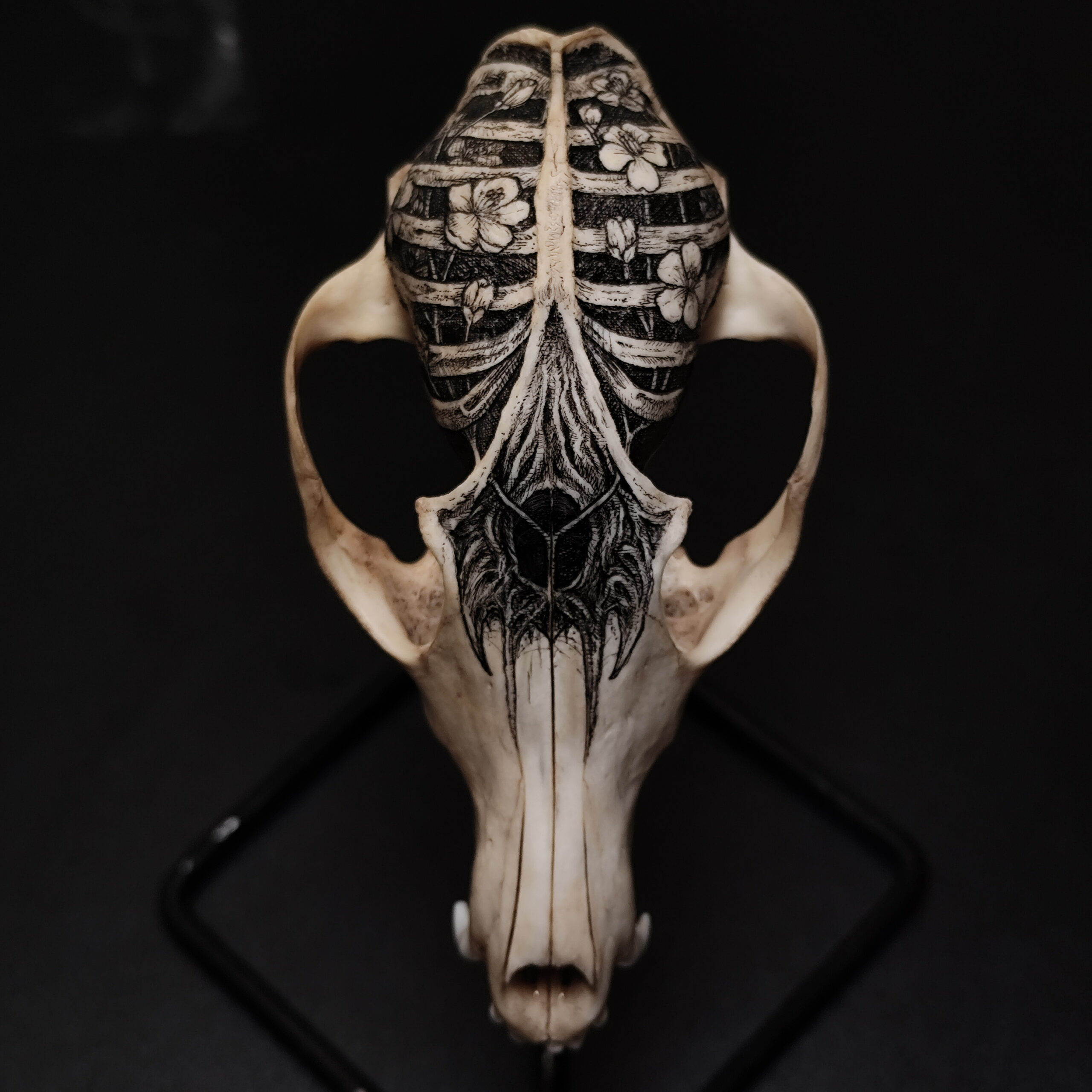 EXHUMED GARDEN COLLECTION