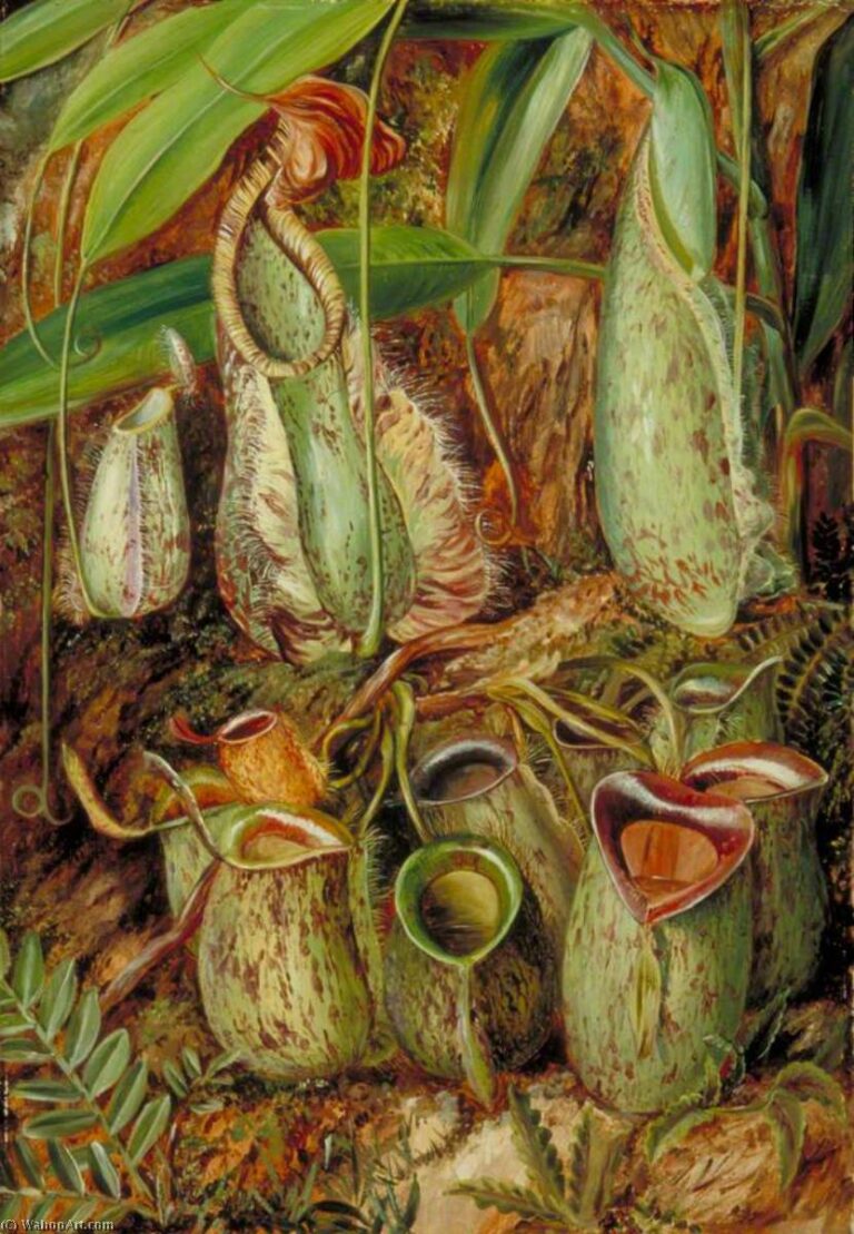 Marianne North, (1830-1890)