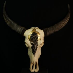 Il dragone sopra le nuvole
