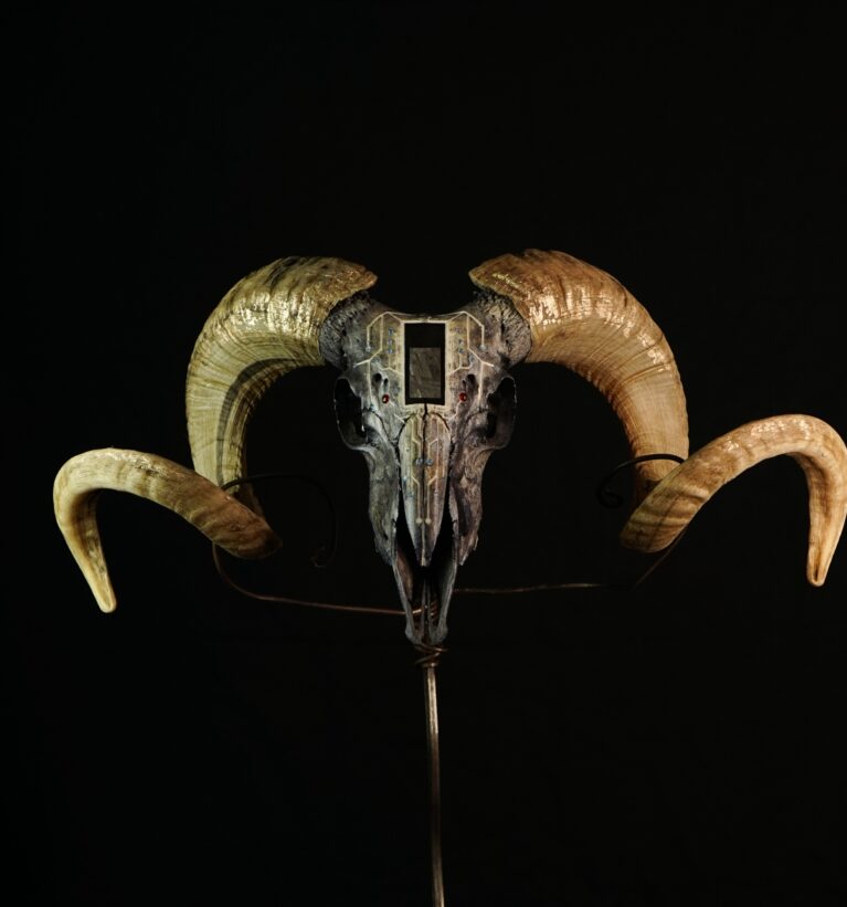||ø|| AX — THE PORTAL